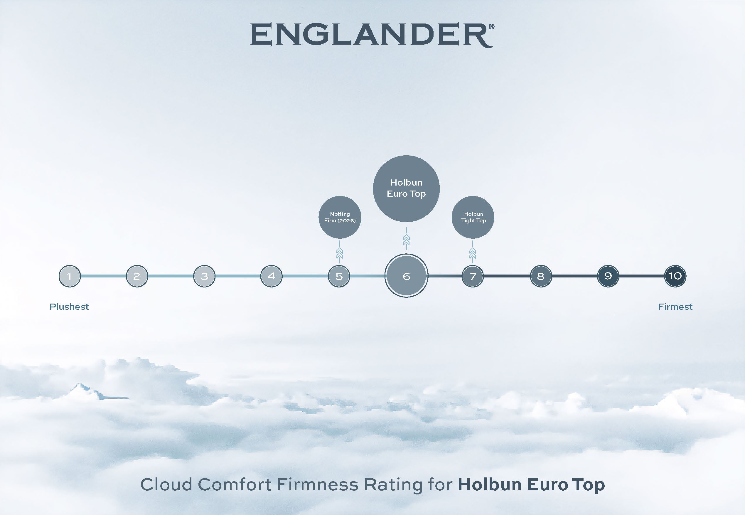 Holburn Euro Top Mattress by Englander