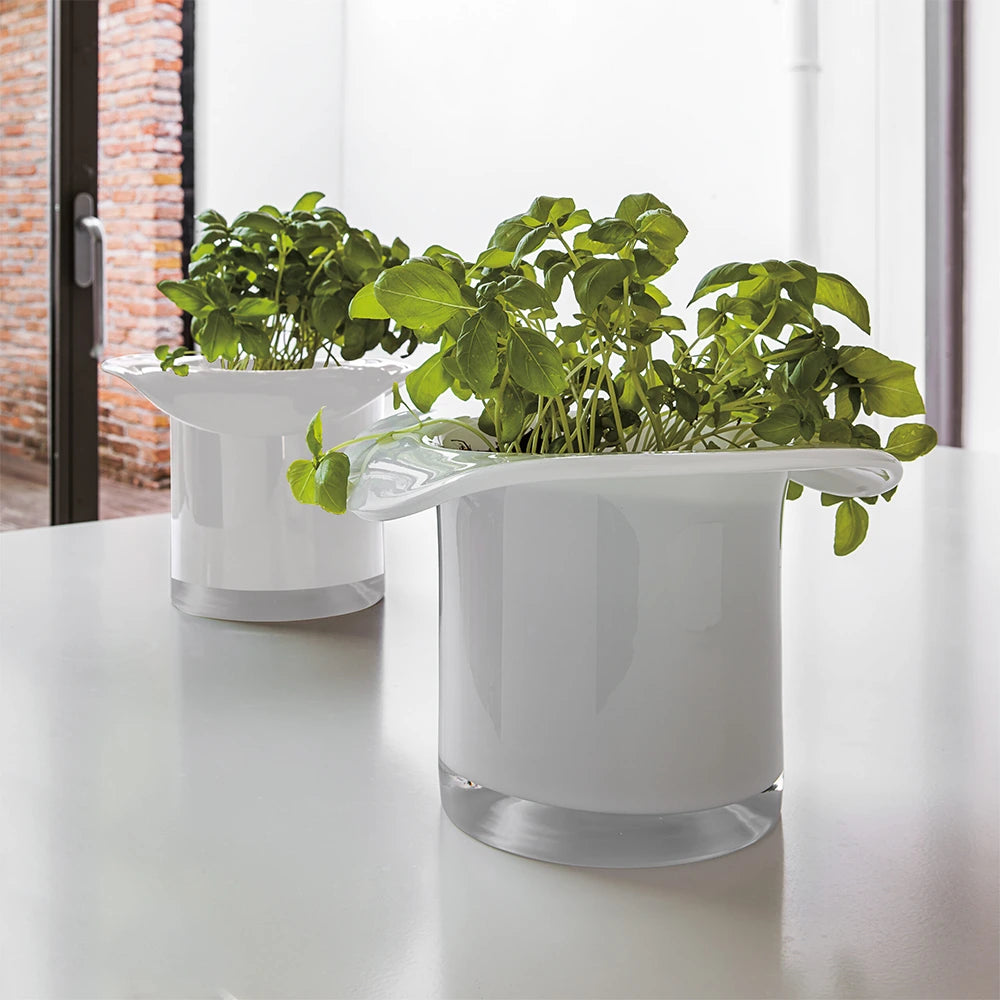 مزهرية زجاجية لكباريه من أدرياني إي روسي