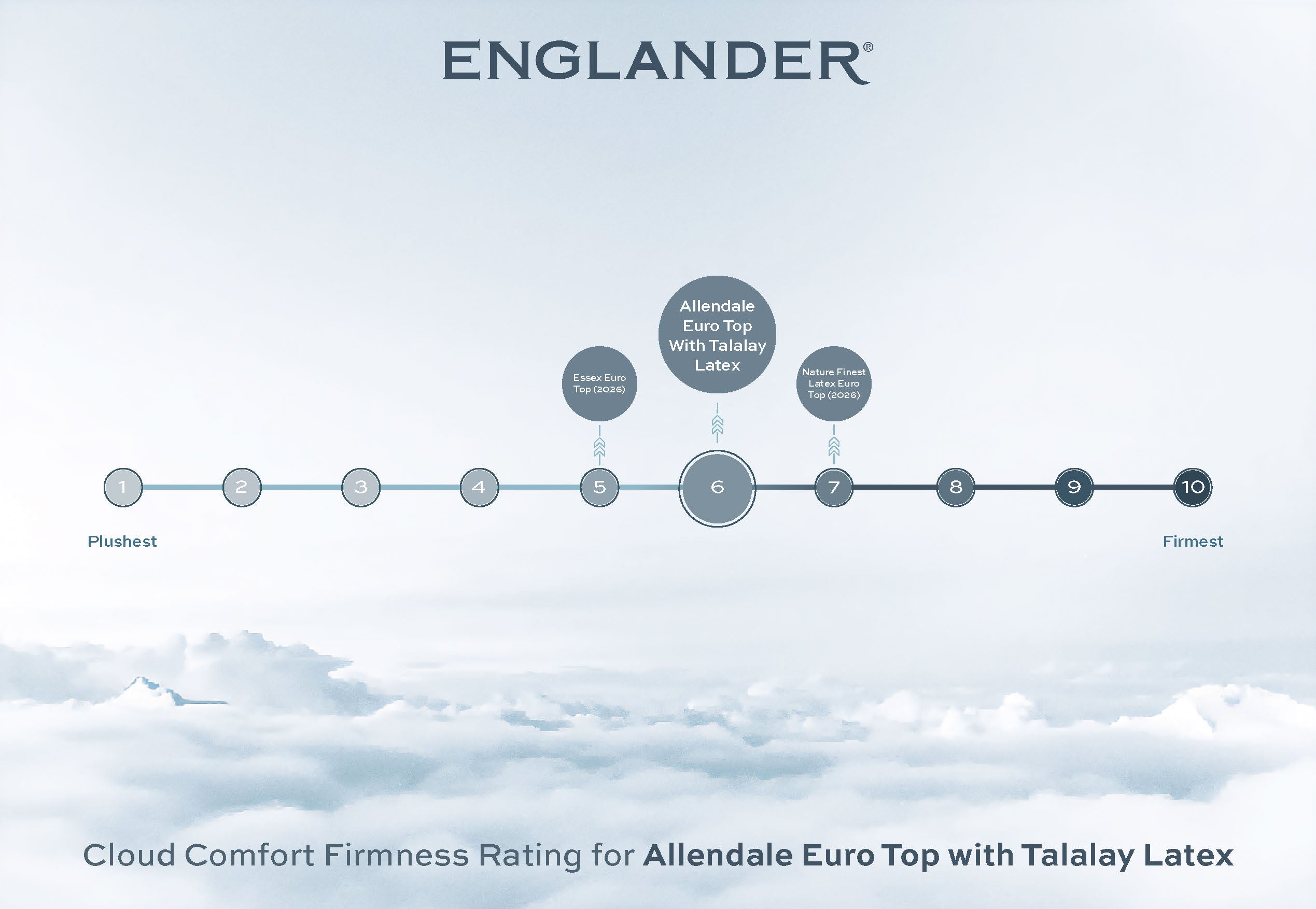 Allendale Euro Top Mattress by Englander