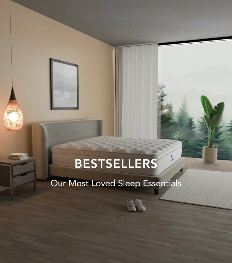 Bestsellers Banner - TMS