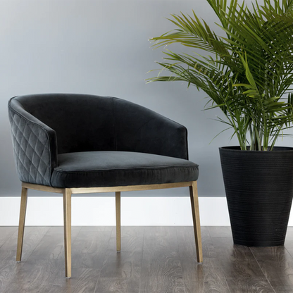 Cornella Lounge Chair by Sunpan in a Livingroom next to a plant 