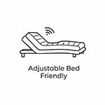Feature Icon